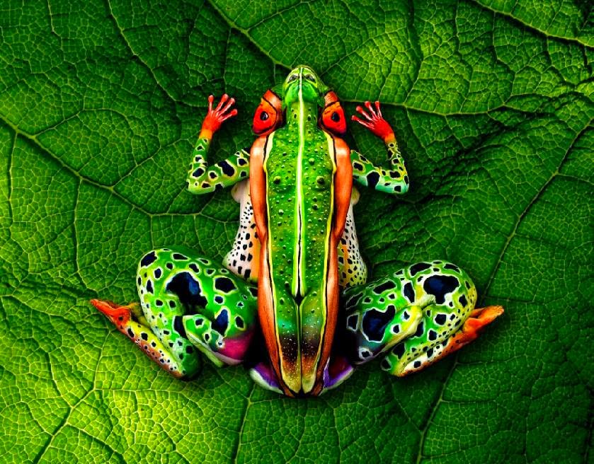 Frog Body Paint | Body Art and Painting