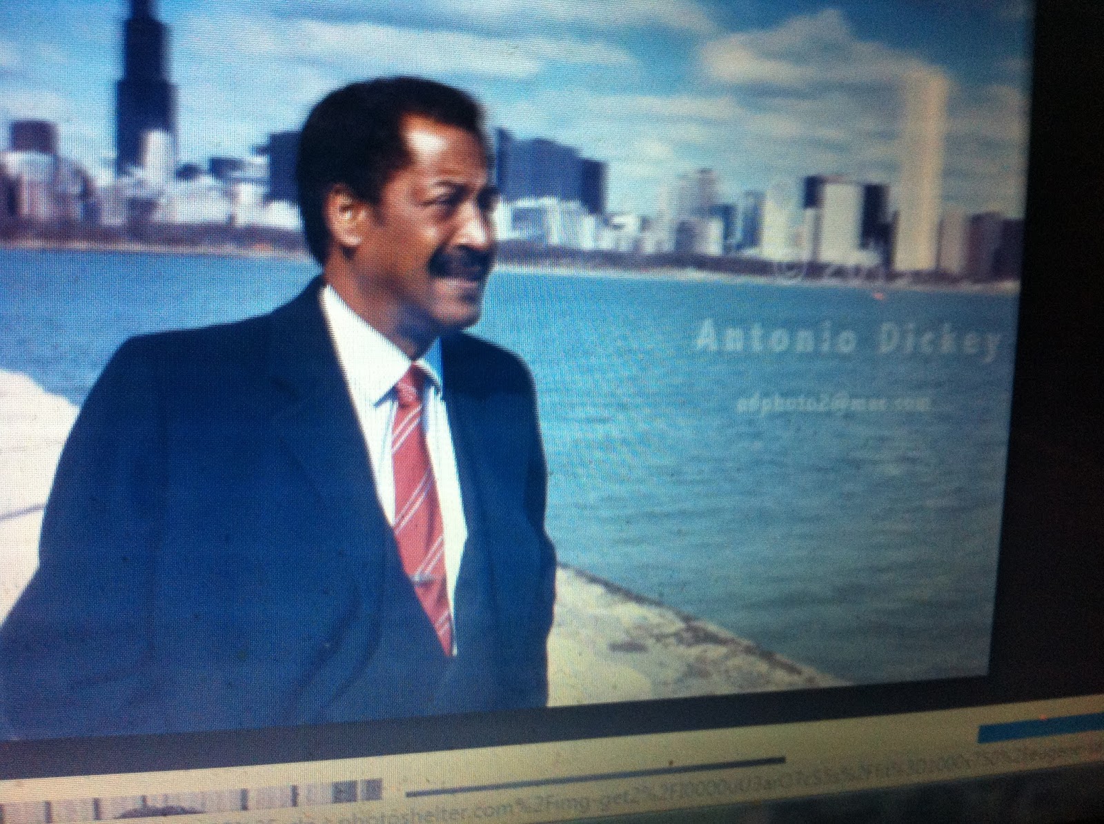 THE BLACK SOCIAL HISTORY BLACK SOCIAL HISTORY AFRICAN AMERICAN