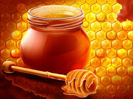 اهمية العسل , نصائح تهم الانسان بخصوص العسل