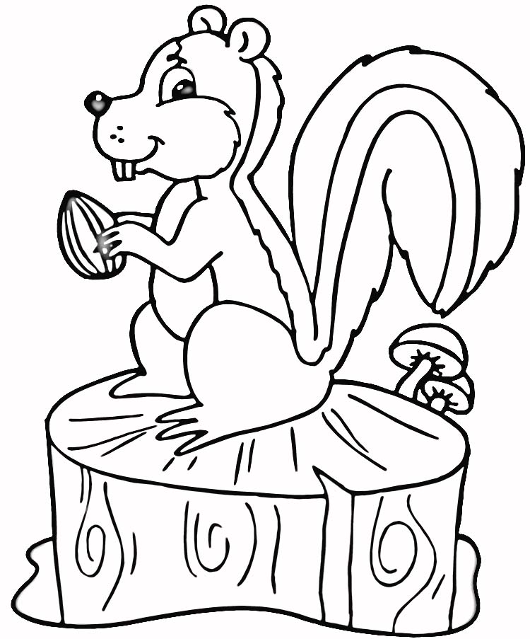 desenhos de florestas para colorir