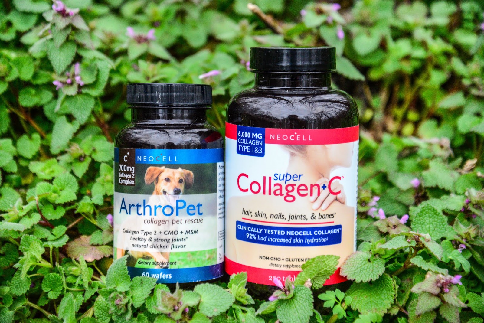 Natural supplements for skin care, health & wellness with NeoCell