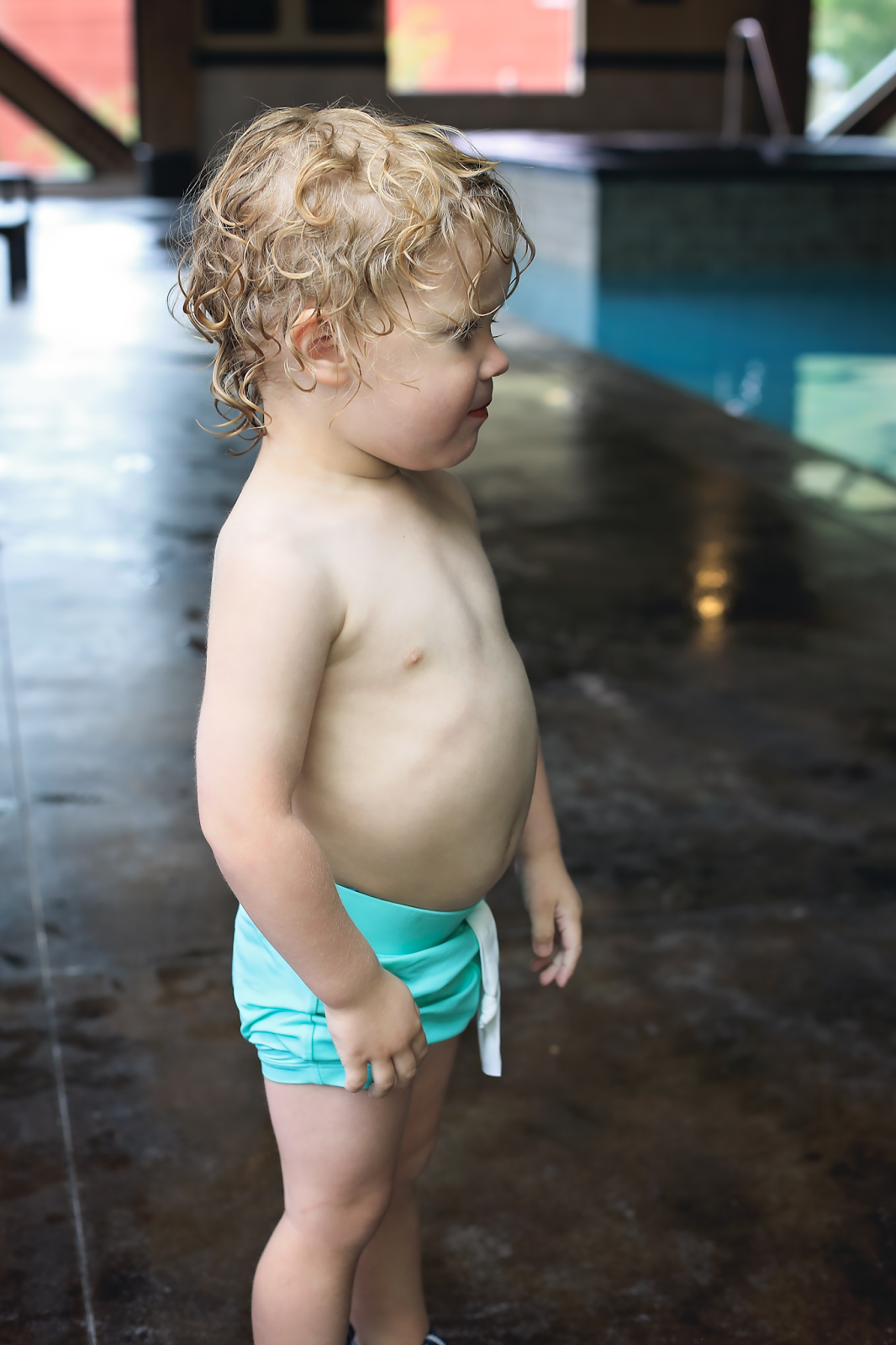 Wyoming travel bed for toddler images Let 39 s go see jackson hole wy  behind the