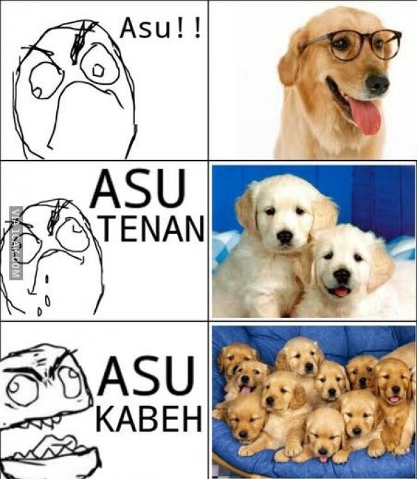 Balah Kowe Kowe Asu Dan Pisuhan