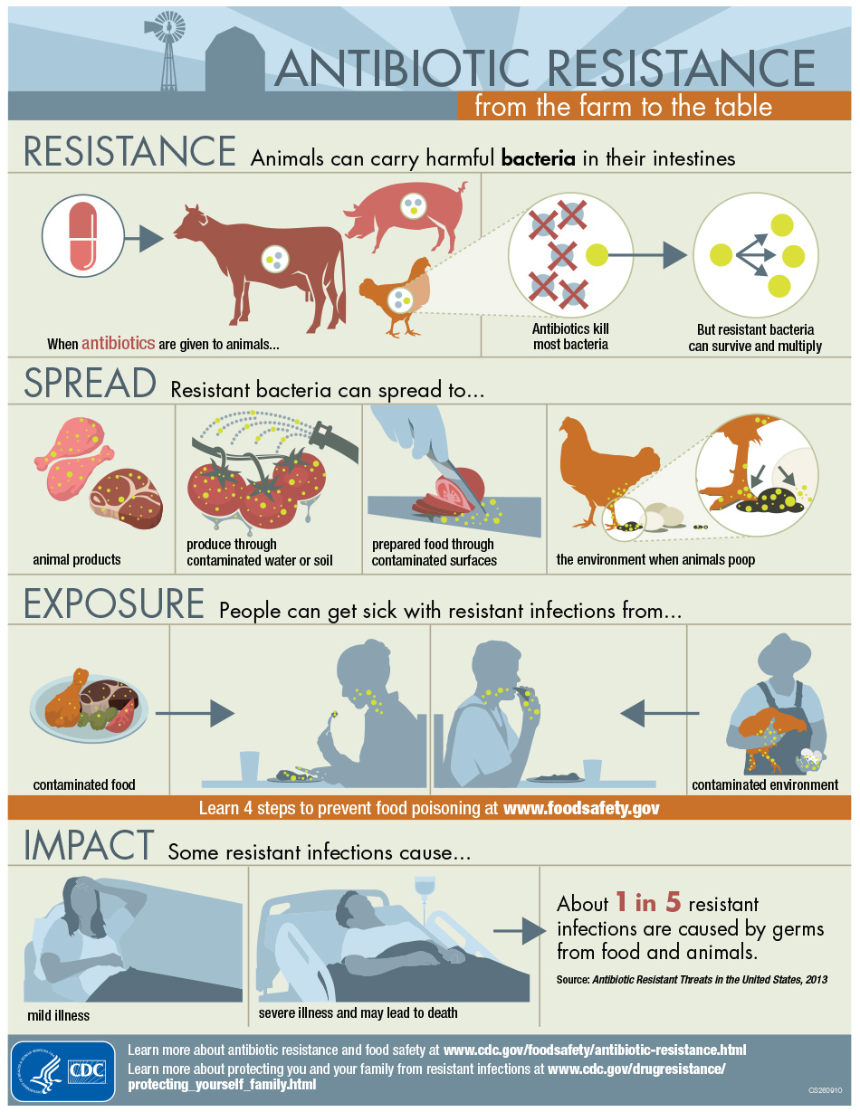 Health Observation Antibiotic Resistance at A Glance