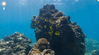 Underwater view by Google maps 1