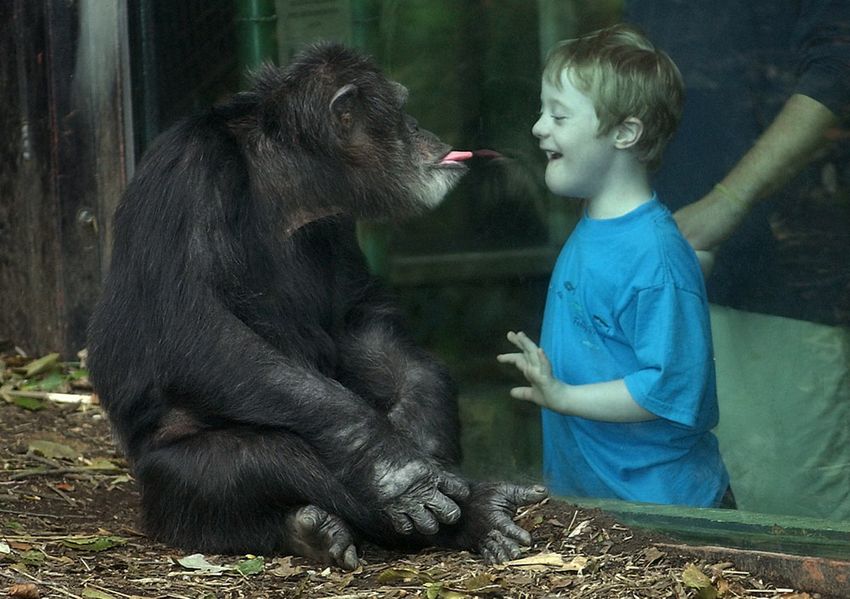 Funny pictures of kids and animals (30 pics) | Amazing ...