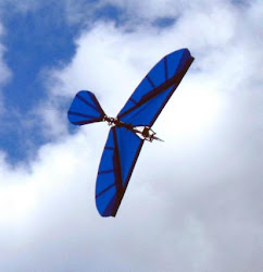 ornithopter rc flying bird helping tutorial blogthis email