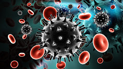 Các nhà khoa học tìm ra một điểm yếu trên Virus HIV có thể giúp điều chế vaccine phòng chống căn bệnh chết người này