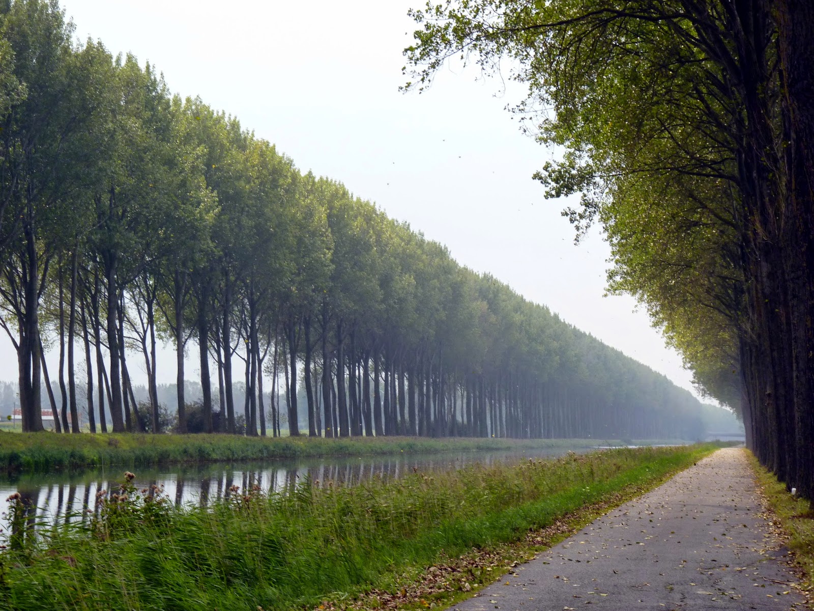 Bélgica en una semana - Blogs de Belgica - De Brujas a Holanda en bicicleta (11)