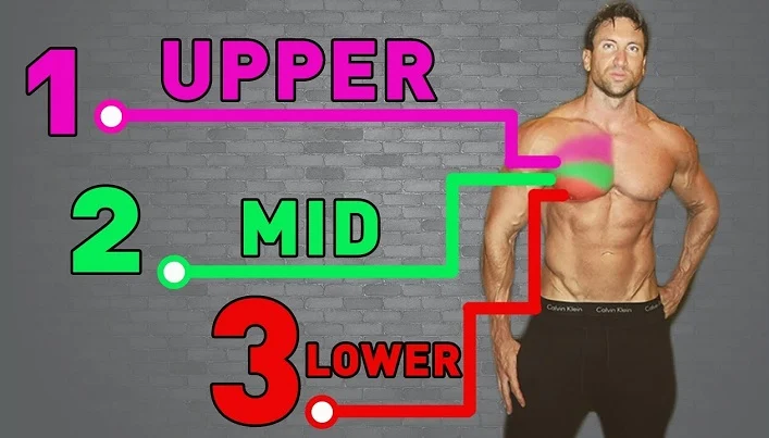 The 6 Exercises Routines For A Bigger Chest