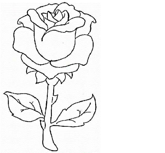  Flower Drawing Colour Drawing HD Wallpaper