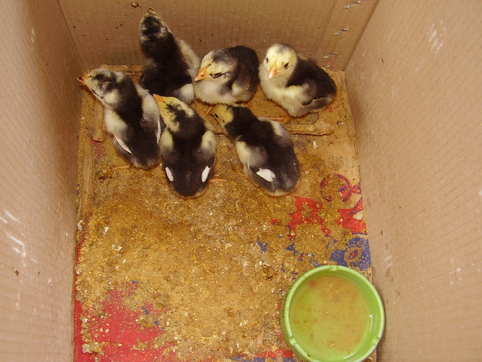 Adventures of young Colleen May 2011