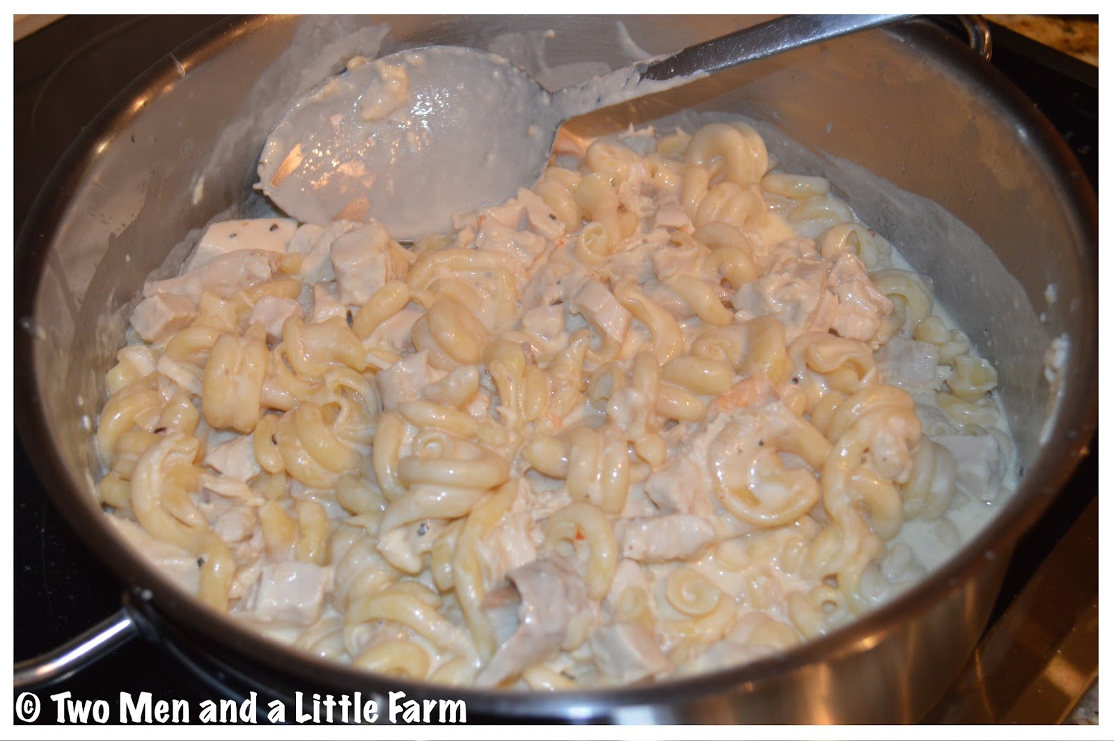 Two Men and a Little Farm TURKEY ALFREDO PASTA RECIPE