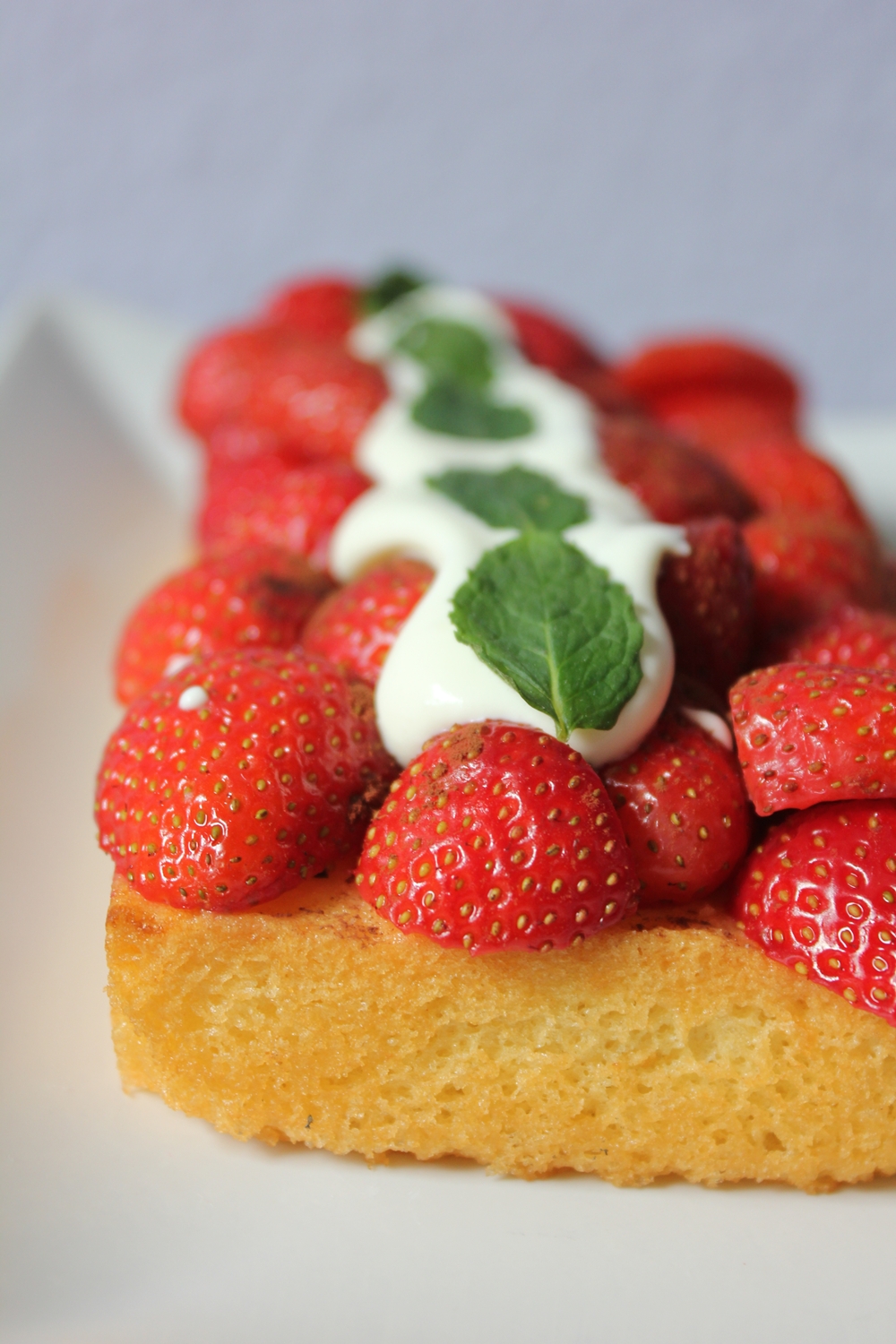 Wolkenfees Küchenwerkstatt: Erdbeerkuchen mit Eierlikörcreme
