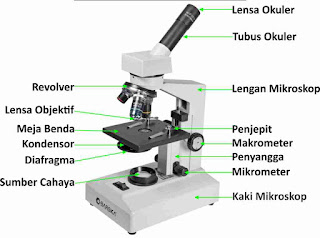 Gambar Bagian-Bagian Mikroskop Cahaya Lengkap