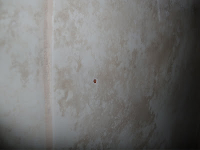 Decoraciones Manualidades En Madera: Como Empotrar Mueble Pequeño Pared