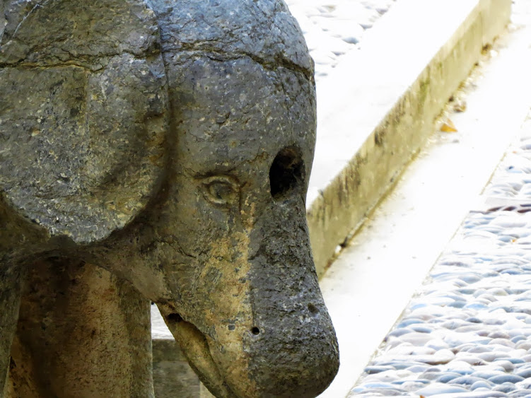 notas cordobesas: LA FUENTE DEL ELEFANTE O EL ELEFANTE DE LA FUENTE