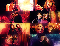 hermione harry through granger potter evolution hogwarts together