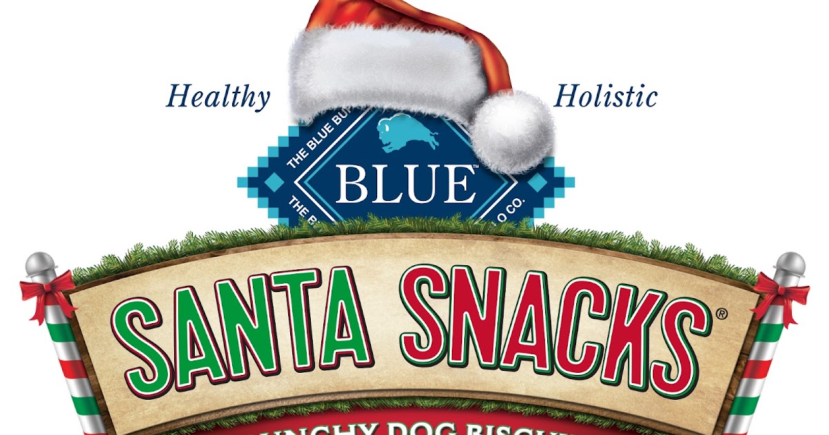 Traveling Dog Lady DIY Holiday Treat Bag with BLUE Santa Snacks from