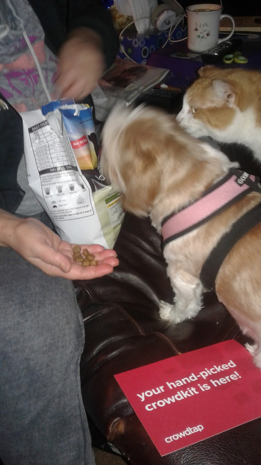 Natural Balance Pet Foods Natural Balance Pet Foods