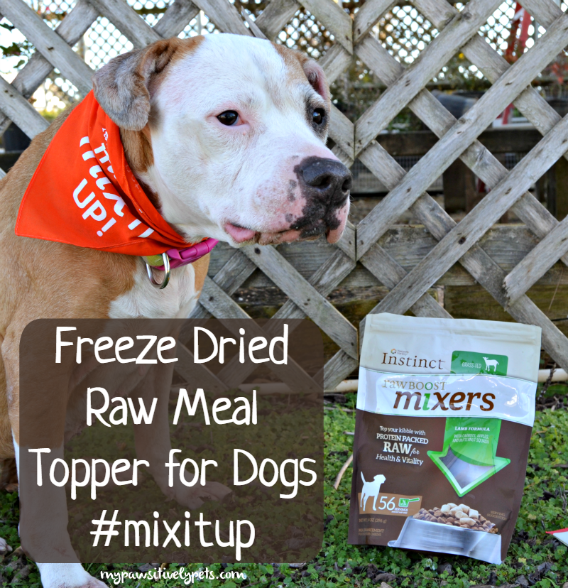 Freeze Dried Raw Meal Topper for Dogs mixitup Pawsitively Pets