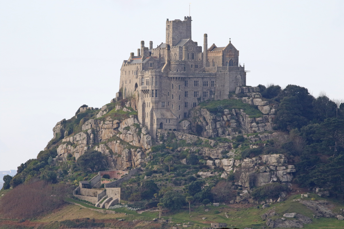 Cream Tea Birding East meets West in Penzance