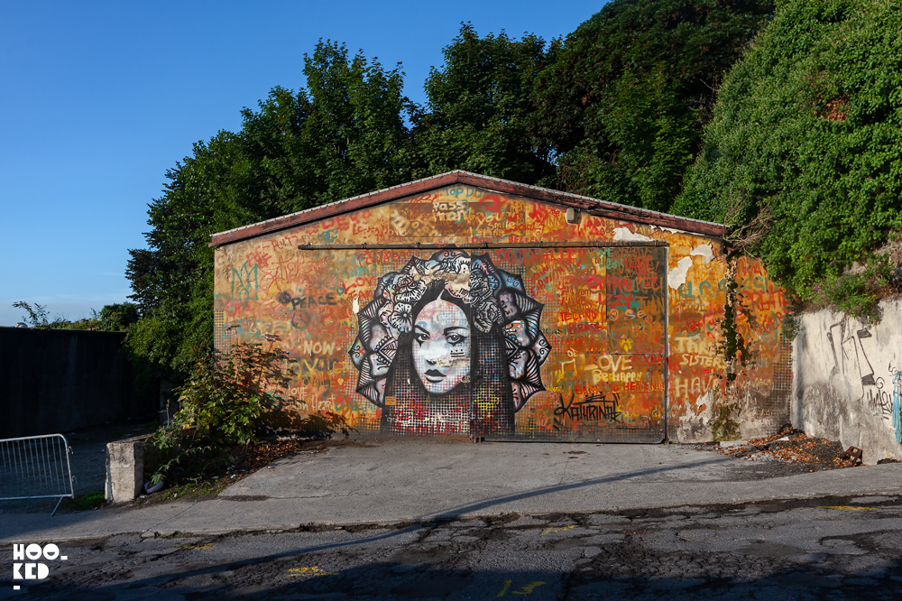 Waterford street art festival mural