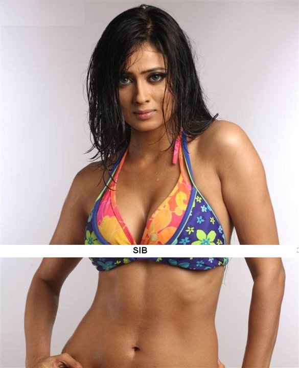 Shweta Tiwari in bikini