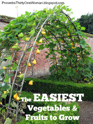 Proverbs 31 Woman Easiest Vegetables Fruits To Grow Feb 1 2017