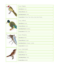 birds english male female general bird