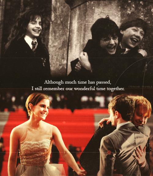 Great White Snark July 60 Stunning Harry Potter Quote About Friendship Great White Snark July 60 Stunning Harry Potter Quote About Friendship