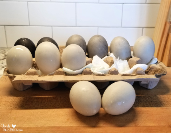 How To Clean A Broken Egg Off the Kitchen Floor - Fresh Eggs Daily® with  Lisa Steele