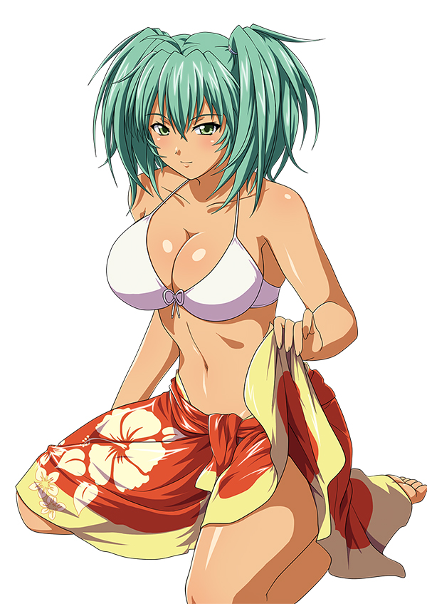 Ikkitousen Mega Post: Housen Ryofu.