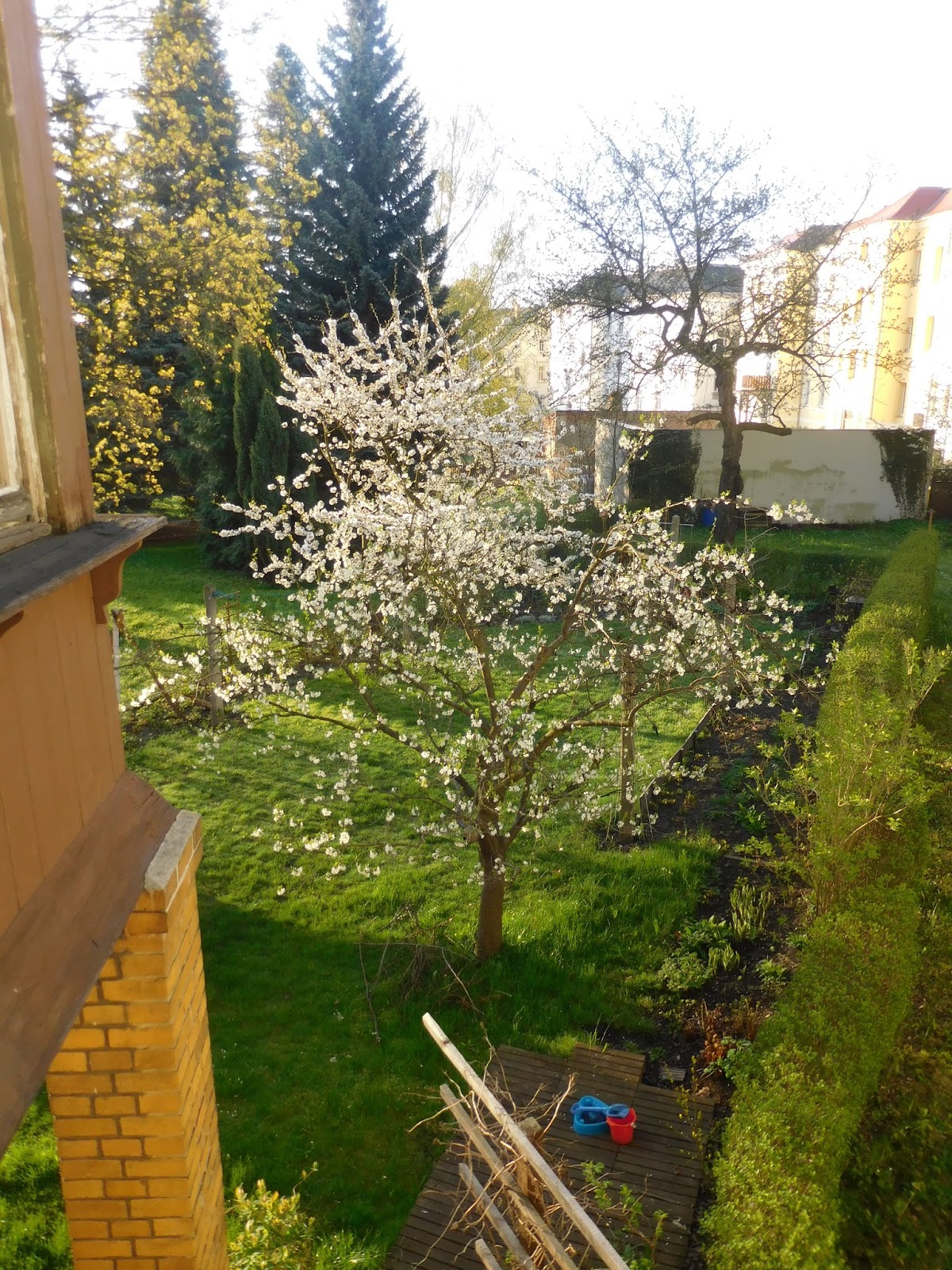 Villa türmchen: kirschblüte und seifenblasen