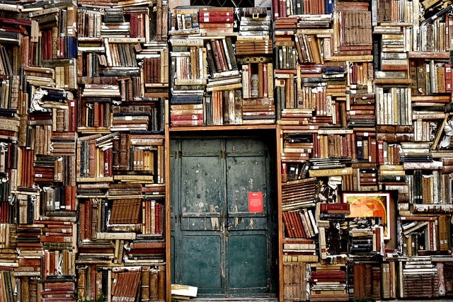 Membuat Program Daftar Buku Perpustakaan dengan Visual Basic 6.0 + Database Ms Access