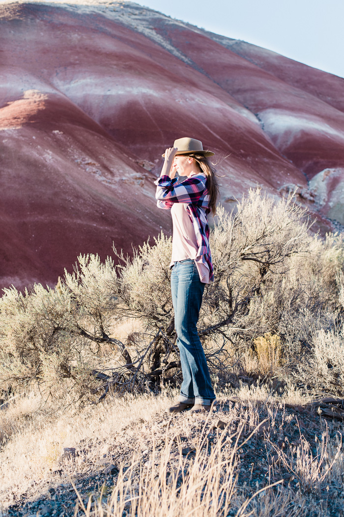 Painted Hills Oregon Painted Hills Oregon