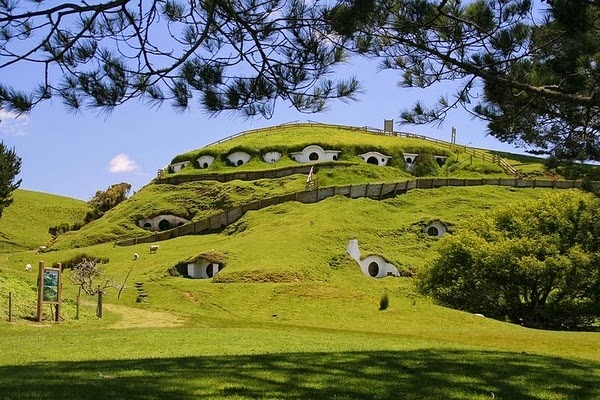 House underground futuristic organic design