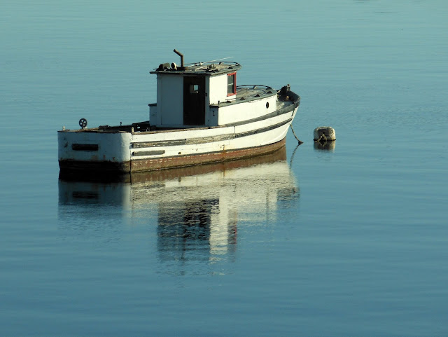 A lonely craft moored off Crofton,  British Columbia (2012-09-15)