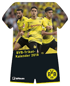 Borussia Dortmund Trikotkalender 2018: Trikotkalender