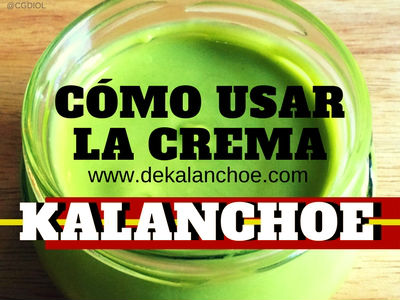Cómo Usar la Crema de Kalanchoe daigremontiana