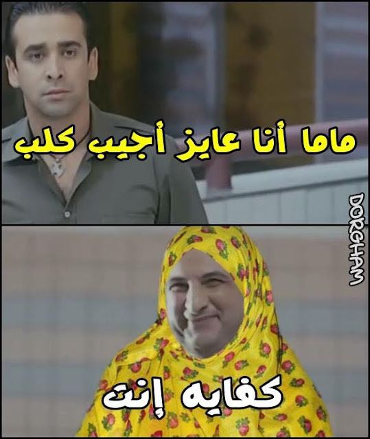 اجمل الصور المضحكة في العالم