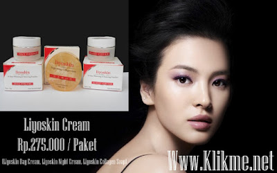 Cream Penghilang Flek Hitam Tanpa Efek Samping Liyoskin Cream Penghilang Flek Hitam Tanpa Efek Samping Liyoskin