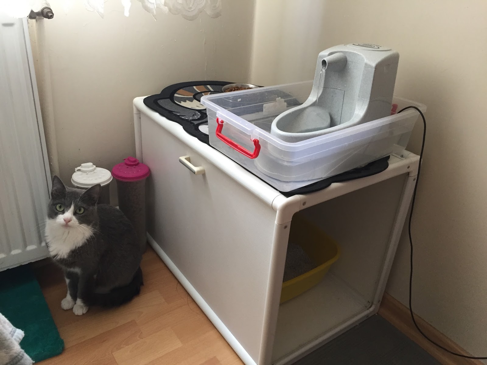 Paw Print Hand Made Karter�in dolabı