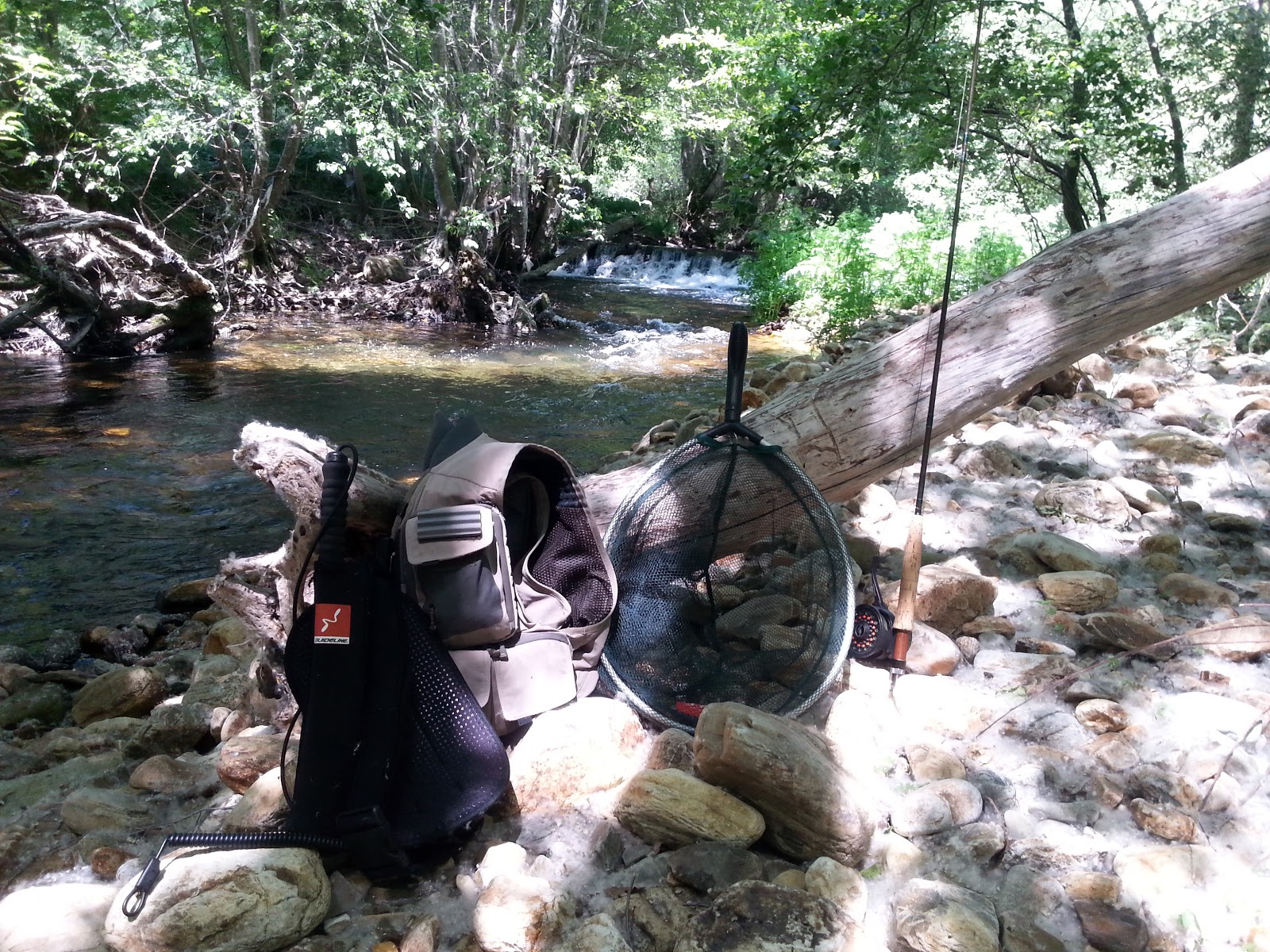 Leader Per La Pesca A Mosca, Lenze Per Pesca A Mosca, Leggere - Foto 6