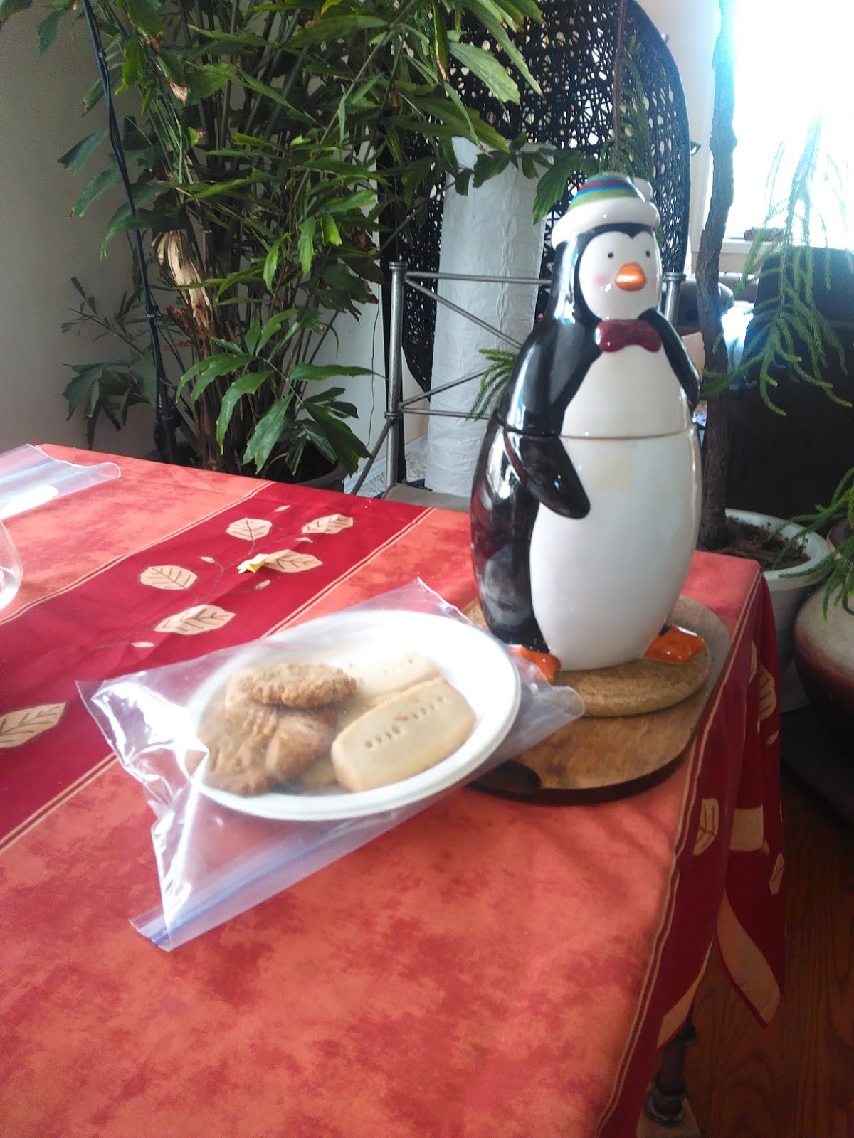 THE TOOL STORE BLOG Pocket Hole Plug Maker