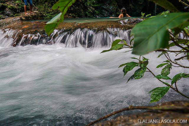 Coron | Calauit Safari Park & Pamalican Island (Natural Arts Travel and Tour) Palawan