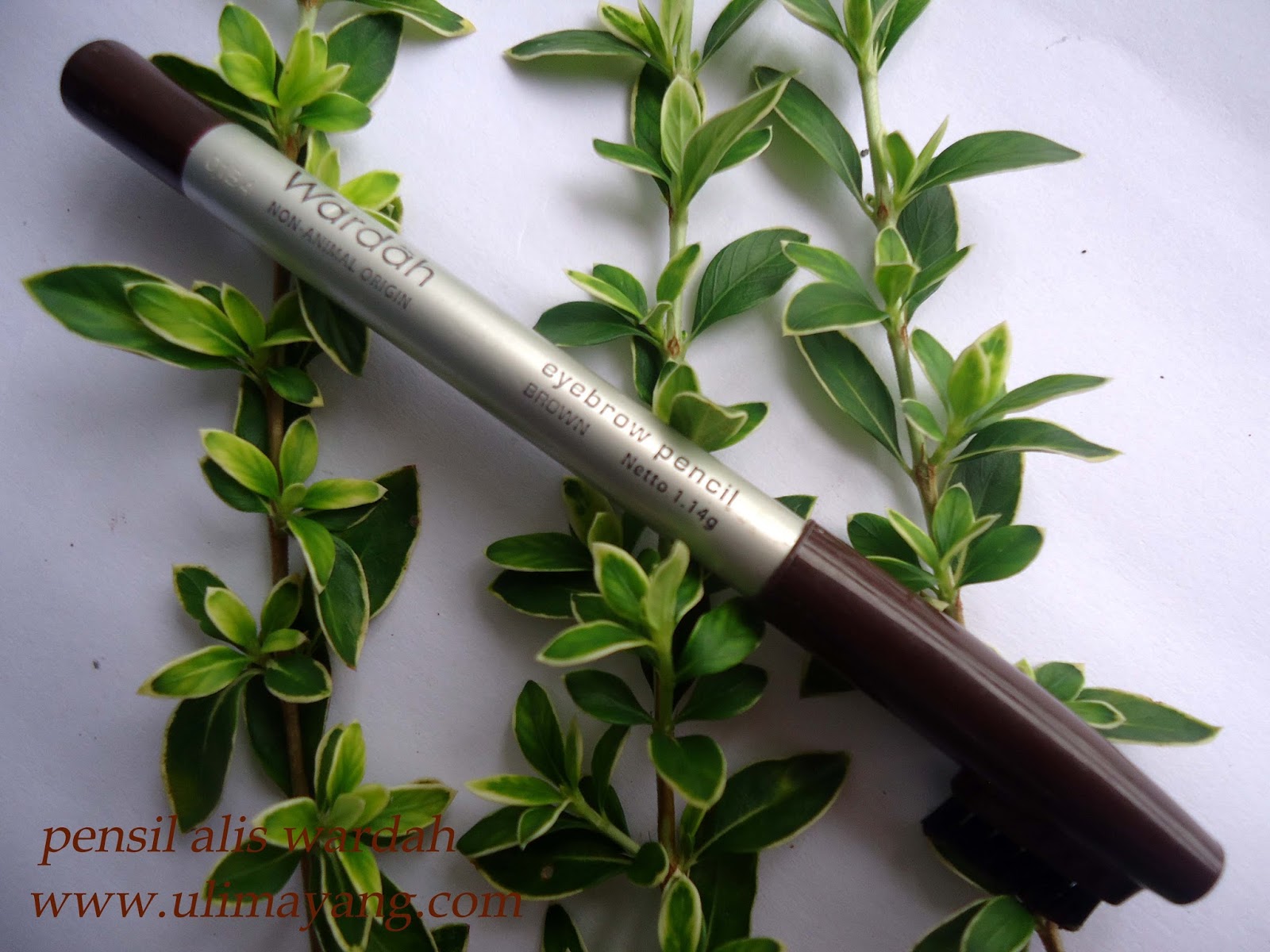 uli mayang review viva wardah dan fanbo pensil alis uli mayang review viva wardah dan fanbo pensil alis