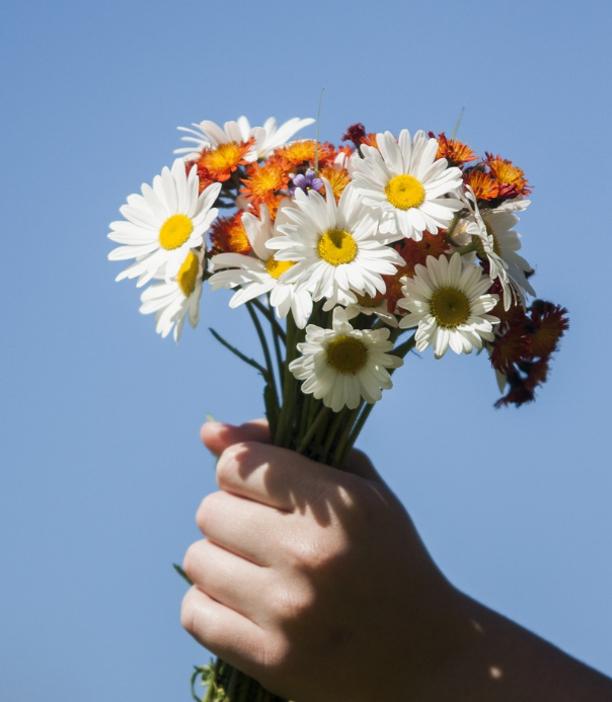 Best Types of Flowers for Graduation Bouquet Singapore Jia Shin Lee