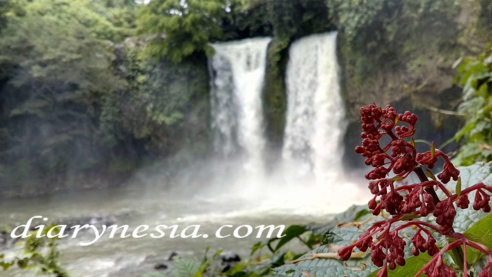 Pemalang tourism, Central Java, Pemalang tourist attraction, diarynesia