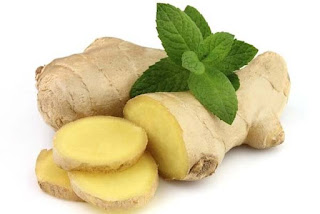 Kencur obat-tradisional-memar-bengkak obat-tradisional-memar-bengkak